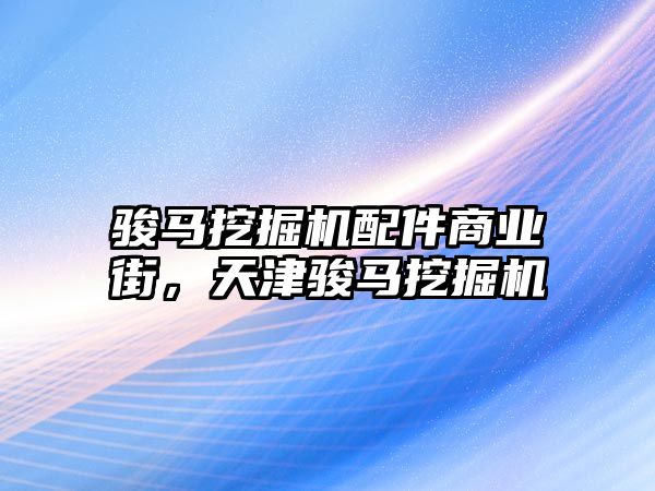 駿馬挖掘機配件商業(yè)街，天津駿馬挖掘機