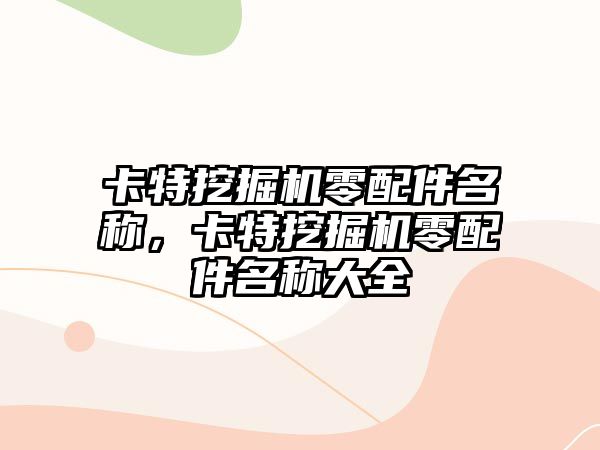 卡特挖掘機零配件名稱，卡特挖掘機零配件名稱大全