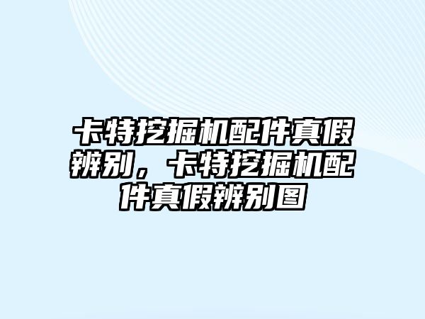 卡特挖掘機(jī)配件真假辨別，卡特挖掘機(jī)配件真假辨別圖