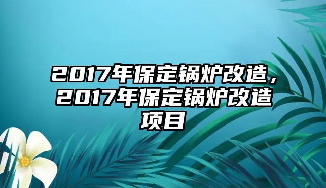 2017年保定鍋爐改造，2017年保定鍋爐改造項(xiàng)目