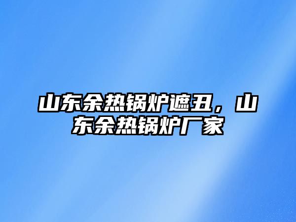 山東余熱鍋爐遮丑，山東余熱鍋爐廠家