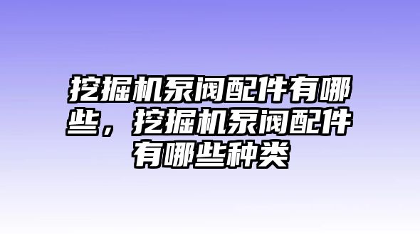 挖掘機(jī)泵閥配件有哪些，挖掘機(jī)泵閥配件有哪些種類