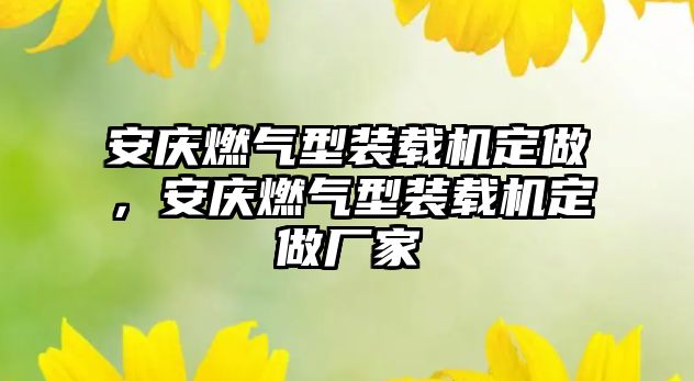 安慶燃?xì)庑脱b載機定做，安慶燃?xì)庑脱b載機定做廠家