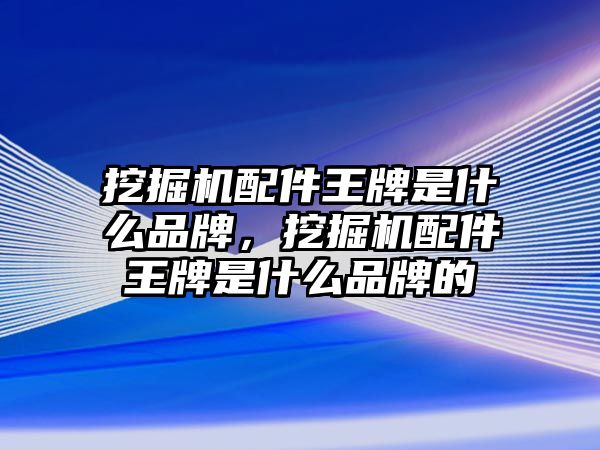 挖掘機配件王牌是什么品牌，挖掘機配件王牌是什么品牌的