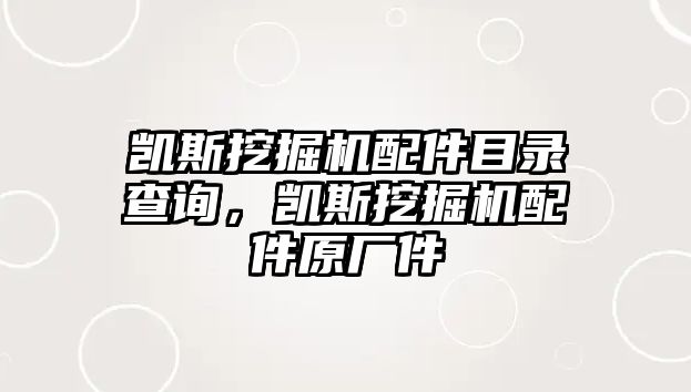 凱斯挖掘機配件目錄查詢，凱斯挖掘機配件原廠件