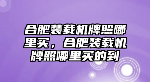 合肥裝載機(jī)牌照哪里買(mǎi)，合肥裝載機(jī)牌照哪里買(mǎi)的到