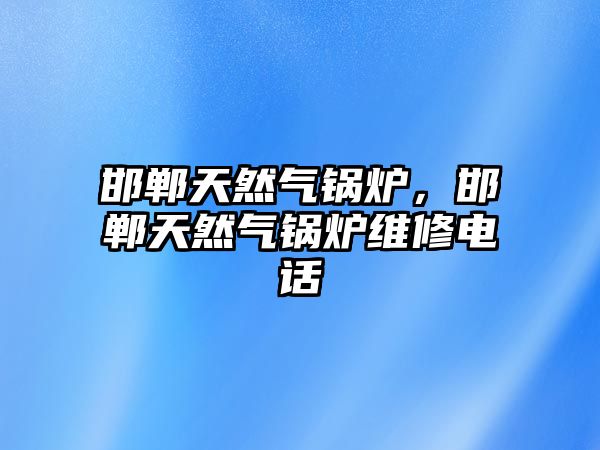 邯鄲天然氣鍋爐，邯鄲天然氣鍋爐維修電話