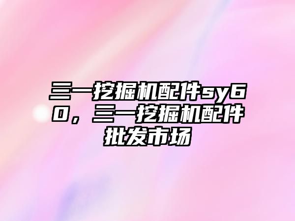 三一挖掘機配件sy60，三一挖掘機配件批發(fā)市場