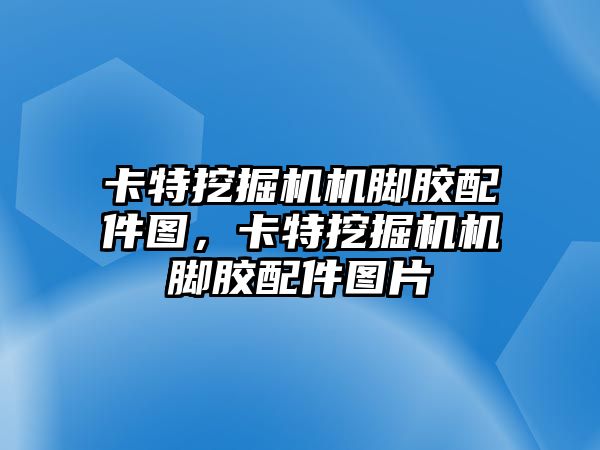 卡特挖掘機機腳膠配件圖，卡特挖掘機機腳膠配件圖片