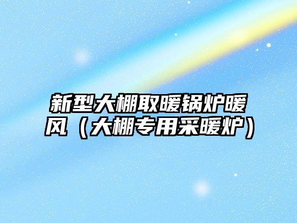 新型大棚取暖鍋爐暖風(fēng)（大棚專(zhuān)用采暖爐）