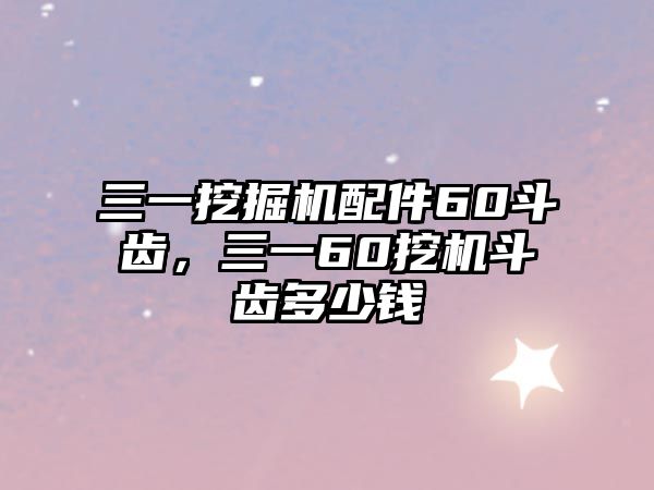 三一挖掘機(jī)配件60斗齒，三一60挖機(jī)斗齒多少錢