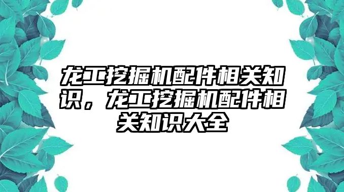 龍工挖掘機配件相關知識，龍工挖掘機配件相關知識大全