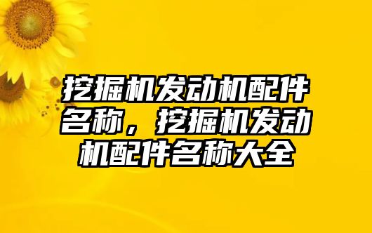 挖掘機發(fā)動機配件名稱，挖掘機發(fā)動機配件名稱大全