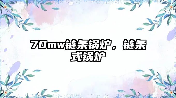 70mw鏈條鍋爐，鏈條式鍋爐