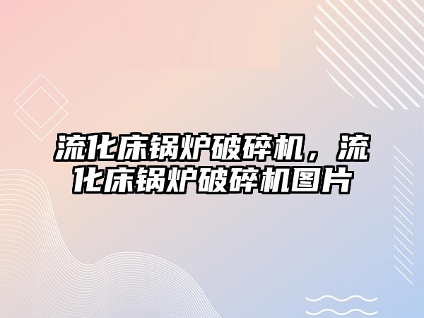 流化床鍋爐破碎機，流化床鍋爐破碎機圖片