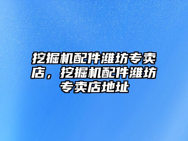 挖掘機配件濰坊專賣店，挖掘機配件濰坊專賣店地址