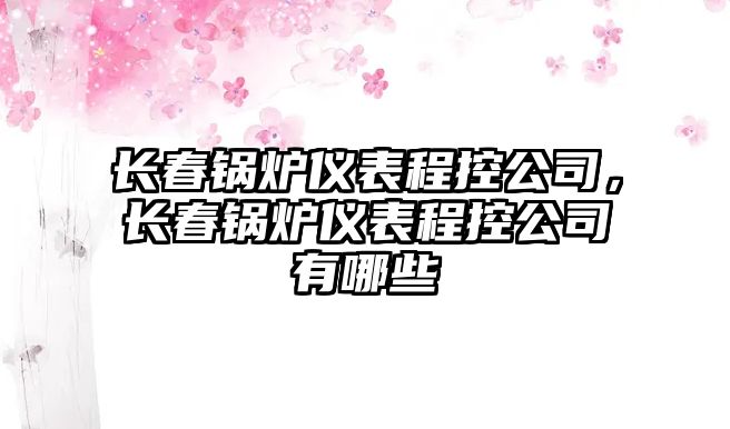 長春鍋爐儀表程控公司，長春鍋爐儀表程控公司有哪些