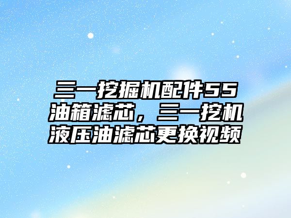 三一挖掘機配件55油箱濾芯，三一挖機液壓油濾芯更換視頻