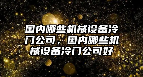 國內(nèi)哪些機(jī)械設(shè)備冷門公司，國內(nèi)哪些機(jī)械設(shè)備冷門公司好