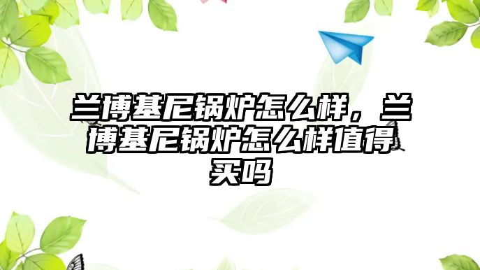 蘭博基尼鍋爐怎么樣，蘭博基尼鍋爐怎么樣值得買嗎