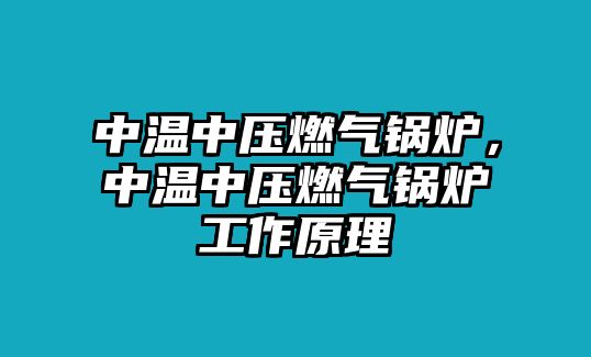 中溫中壓燃氣鍋爐，中溫中壓燃氣鍋爐工作原理