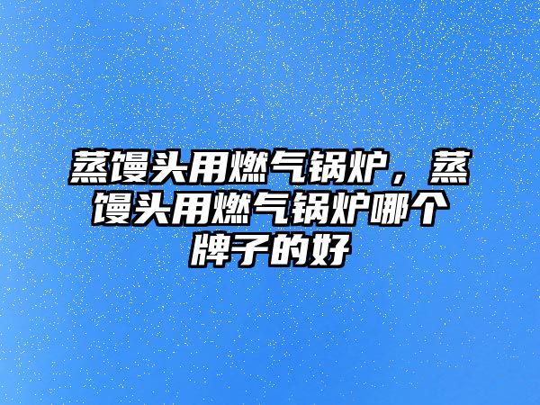 蒸饅頭用燃?xì)忮仩t，蒸饅頭用燃?xì)忮仩t哪個牌子的好