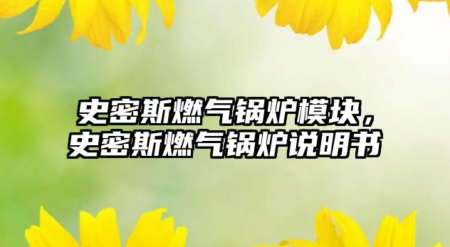 史密斯燃?xì)忮仩t模塊，史密斯燃?xì)忮仩t說(shuō)明書