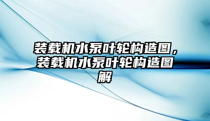 裝載機(jī)水泵葉輪構(gòu)造圖，裝載機(jī)水泵葉輪構(gòu)造圖解