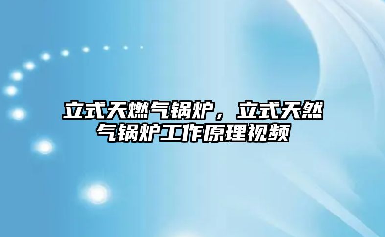 立式天燃?xì)忮仩t，立式天然氣鍋爐工作原理視頻