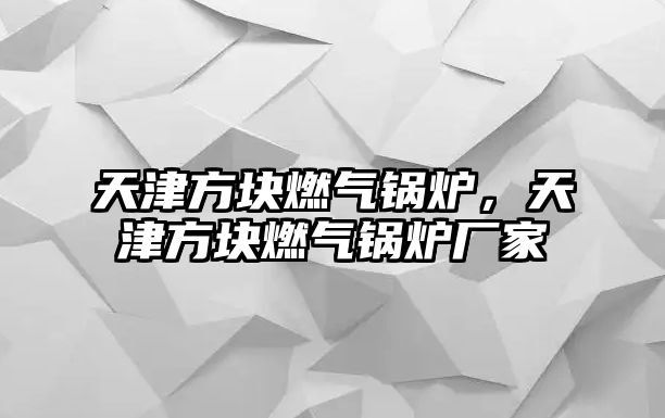 天津方塊燃?xì)忮仩t，天津方塊燃?xì)忮仩t廠家