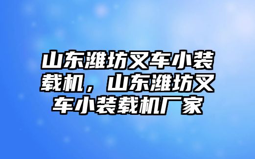 山東濰坊叉車(chē)小裝載機(jī)，山東濰坊叉車(chē)小裝載機(jī)廠家