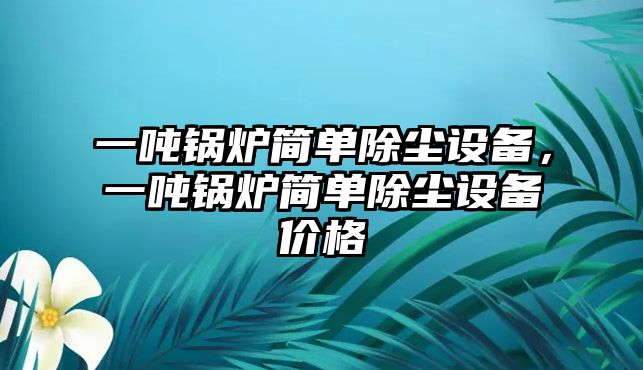 一噸鍋爐簡(jiǎn)單除塵設(shè)備，一噸鍋爐簡(jiǎn)單除塵設(shè)備價(jià)格