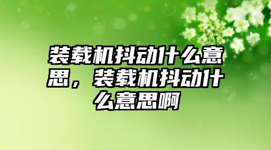 裝載機抖動什么意思，裝載機抖動什么意思啊