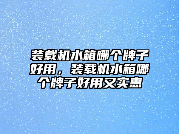 裝載機水箱哪個牌子好用，裝載機水箱哪個牌子好用又實惠