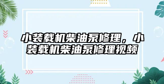 小裝載機柴油泵修理，小裝載機柴油泵修理視頻