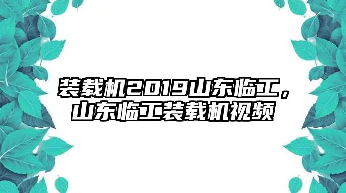 裝載機(jī)2019山東臨工，山東臨工裝載機(jī)視頻