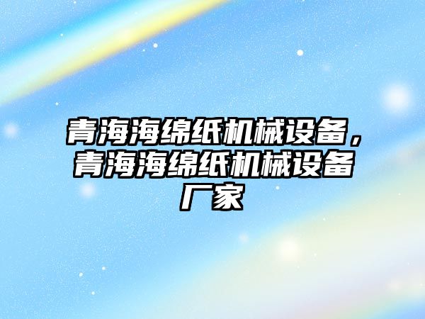 青海海綿紙機(jī)械設(shè)備，青海海綿紙機(jī)械設(shè)備廠家