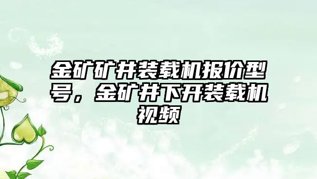 金礦礦井裝載機(jī)報價型號，金礦井下開裝載機(jī)視頻