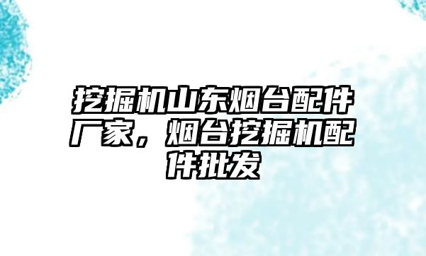 挖掘機山東煙臺配件廠家，煙臺挖掘機配件批發(fā)