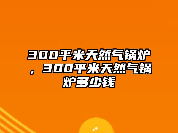 300平米天然氣鍋爐，300平米天然氣鍋爐多少錢