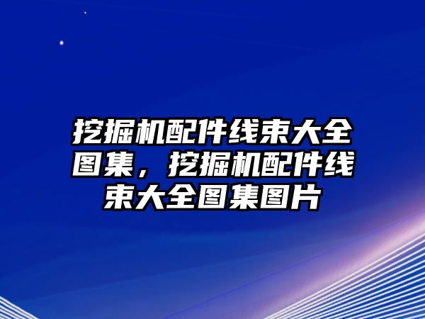 挖掘機配件線束大全圖集，挖掘機配件線束大全圖集圖片