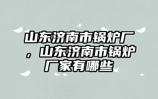 山東濟(jì)南市鍋爐廠，山東濟(jì)南市鍋爐廠家有哪些