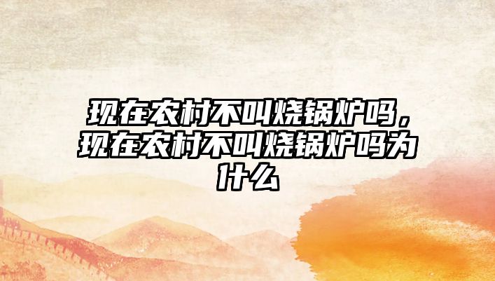 現(xiàn)在農(nóng)村不叫燒鍋爐嗎，現(xiàn)在農(nóng)村不叫燒鍋爐嗎為什么