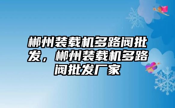 郴州裝載機(jī)多路閥批發(fā)，郴州裝載機(jī)多路閥批發(fā)廠家