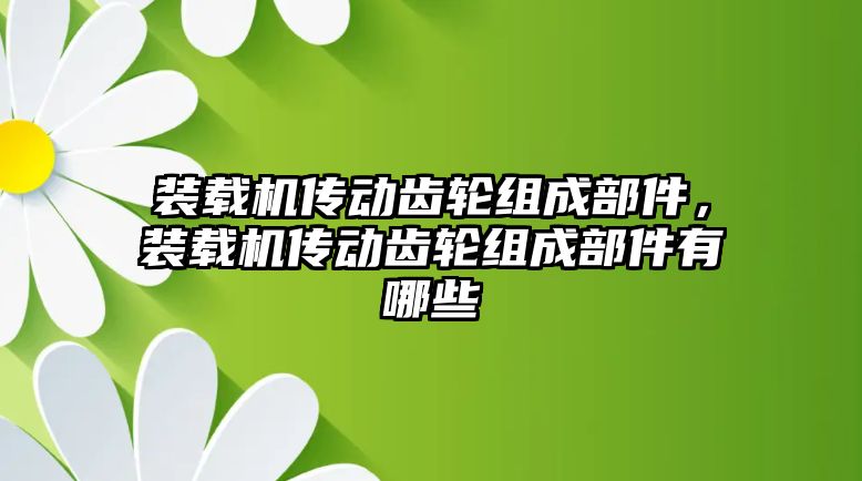 裝載機傳動齒輪組成部件，裝載機傳動齒輪組成部件有哪些