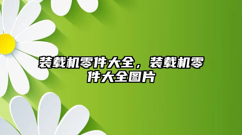 裝載機零件大全，裝載機零件大全圖片