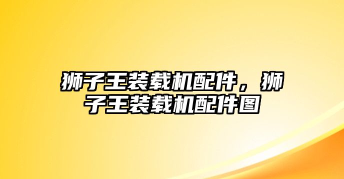 獅子王裝載機(jī)配件，獅子王裝載機(jī)配件圖