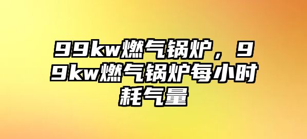 99kw燃?xì)忮仩t，99kw燃?xì)忮仩t每小時(shí)耗氣量