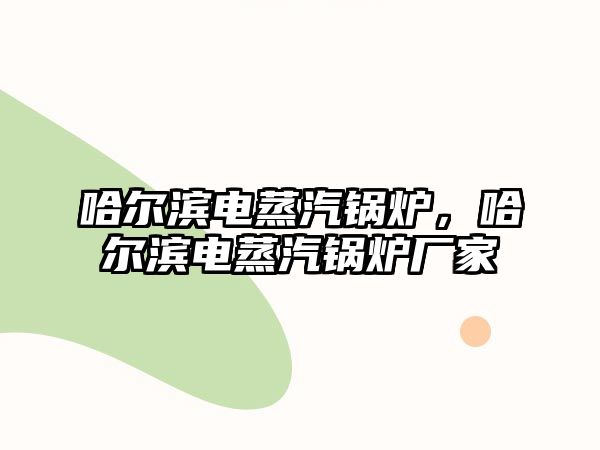 哈爾濱電蒸汽鍋爐，哈爾濱電蒸汽鍋爐廠家