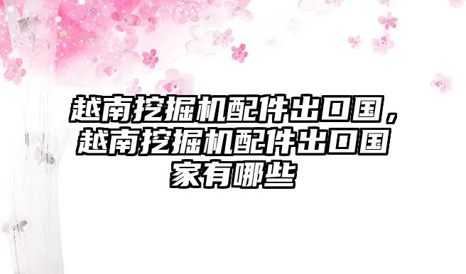 越南挖掘機(jī)配件出口國(guó)，越南挖掘機(jī)配件出口國(guó)家有哪些